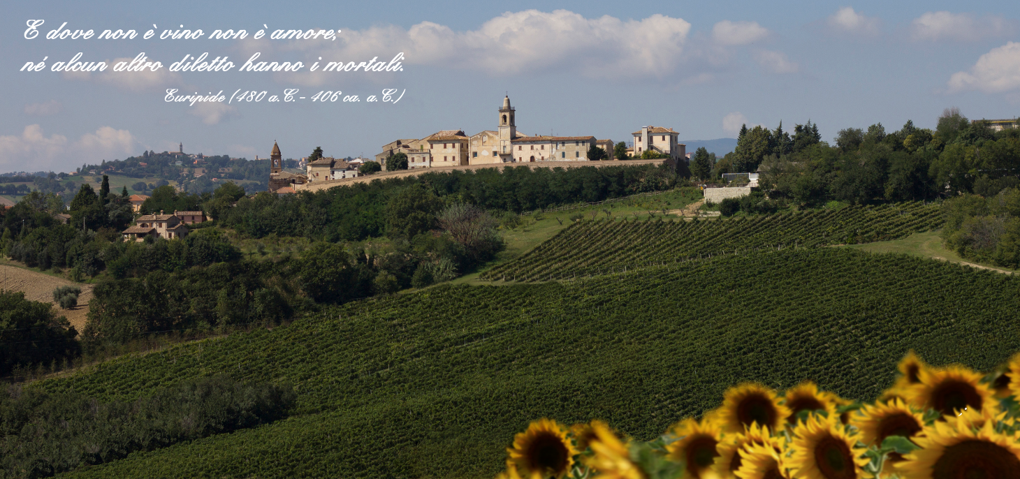 Azienda Vitivinicola Elio Savelli